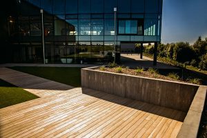 Hardwood Deck